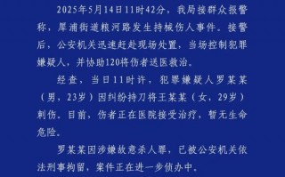 男子因纠纷持刀刺伤女子，成都警方：嫌犯涉嫌故意杀人，被依法刑拘|界面新闻 · 快讯