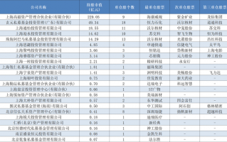 百亿私募一季度最新持仓来了，累计348亿元的“新宠旧爱”都有谁？|界面新闻