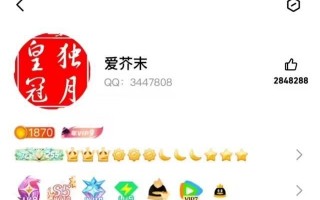 全球首个满级QQ即将诞生|界面新闻 · 科技