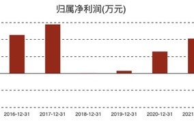 白云山制药需要新“爆款”|界面新闻