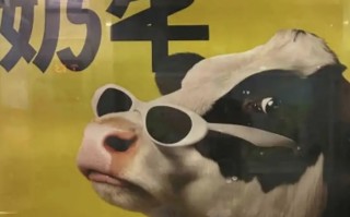 认养一头牛广告被质疑讽刺打工人，公司回应|界面新闻