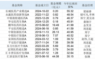有基金年内大涨超50%！除了港股创新药，基金经理还看好AI医疗|界面新闻